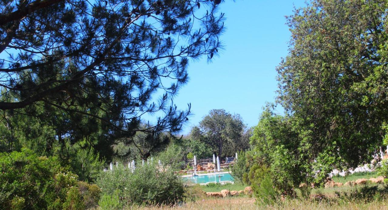 Tenuta Ferraro גאליפולי מראה חיצוני תמונה