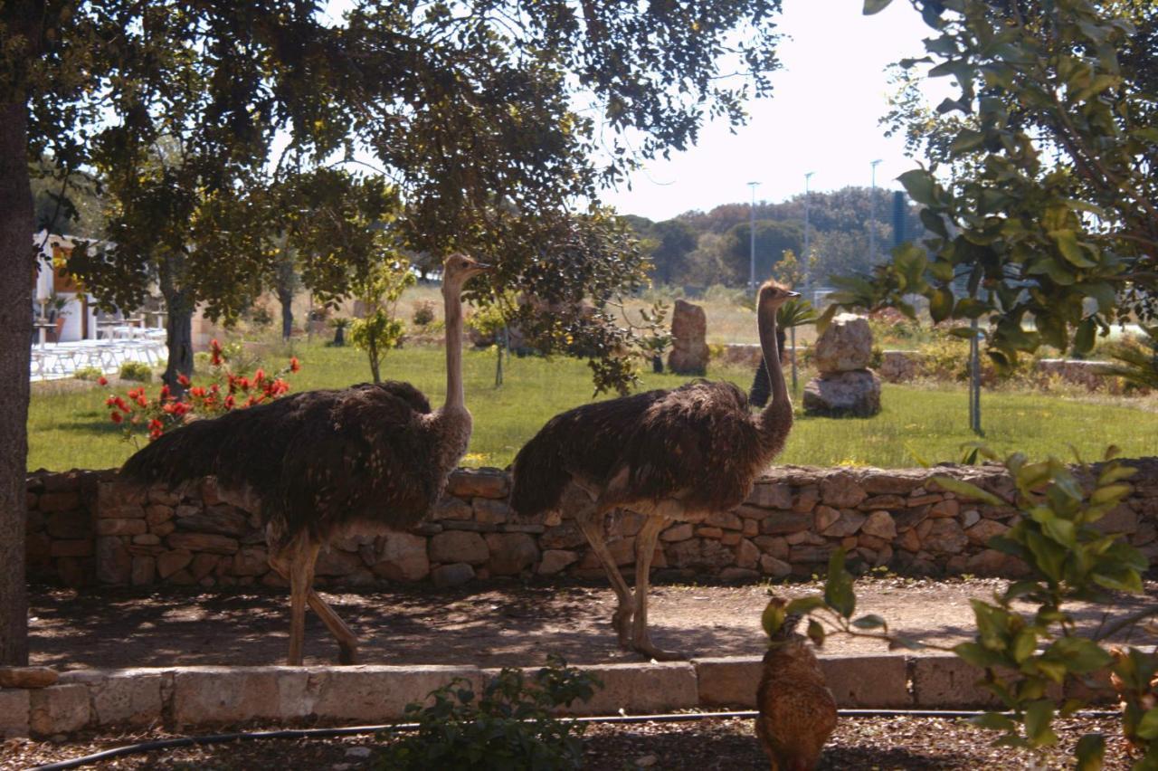 Tenuta Ferraro גאליפולי מראה חיצוני תמונה