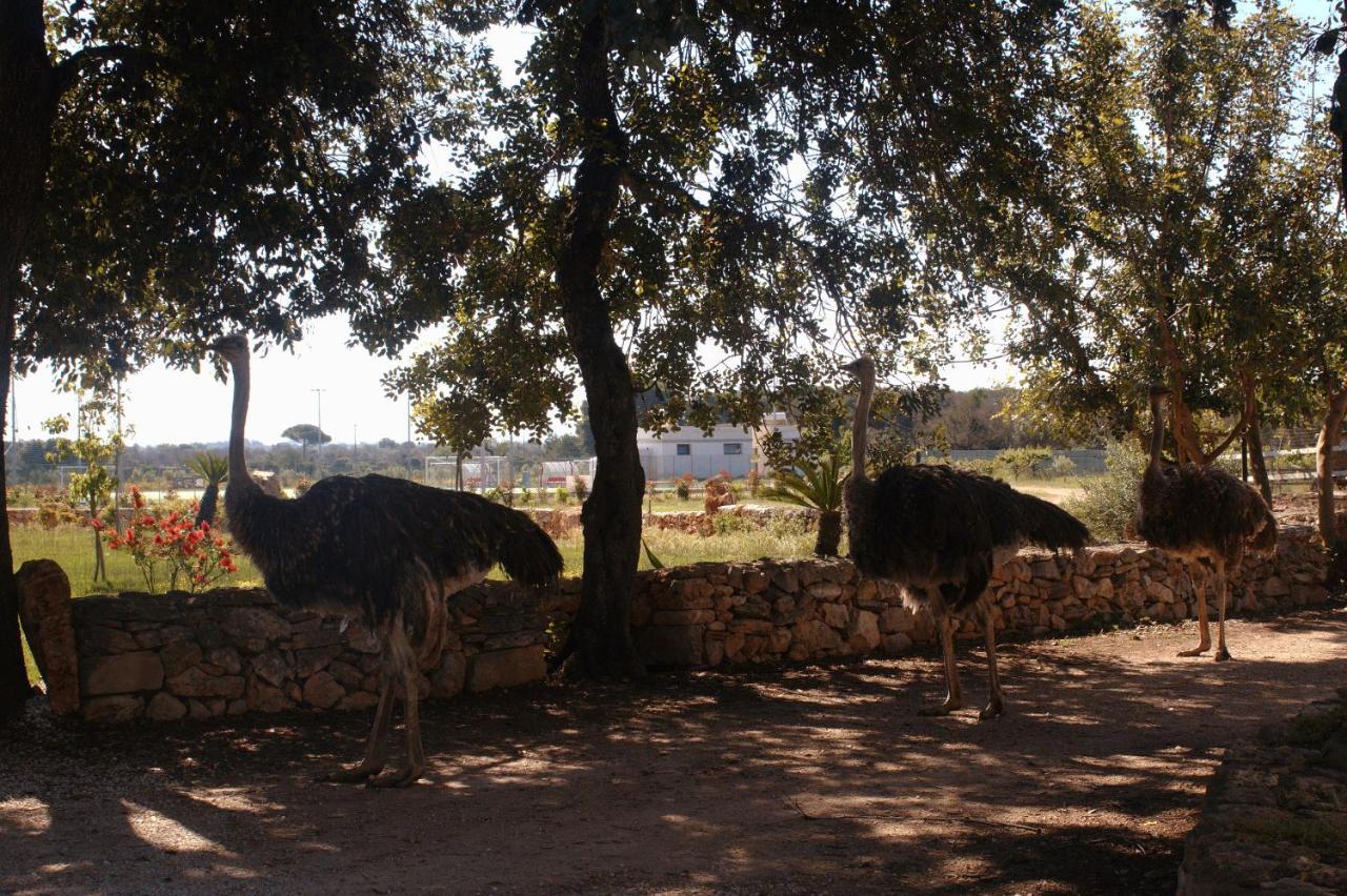 Tenuta Ferraro גאליפולי מראה חיצוני תמונה