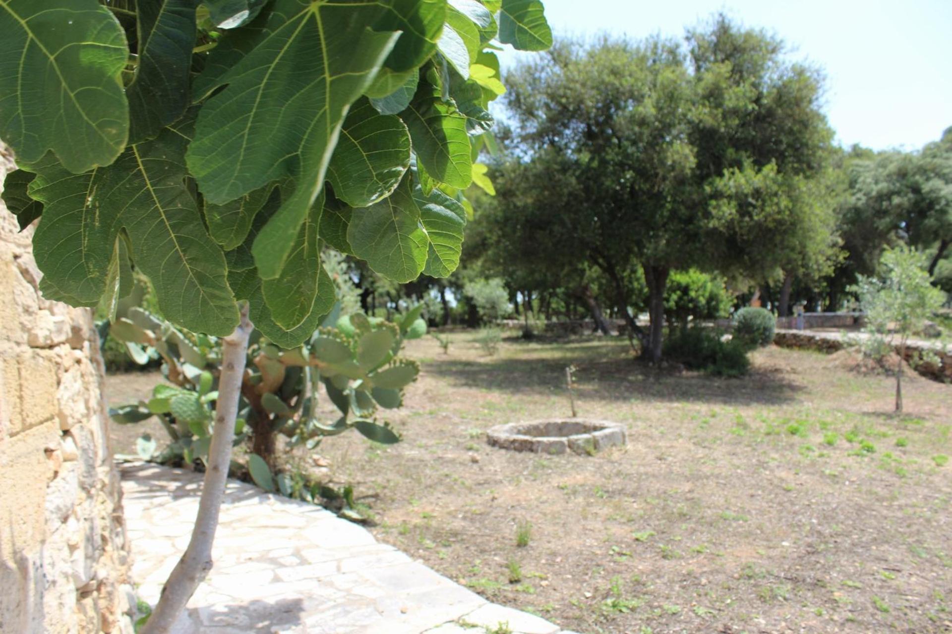 Tenuta Ferraro גאליפולי מראה חיצוני תמונה