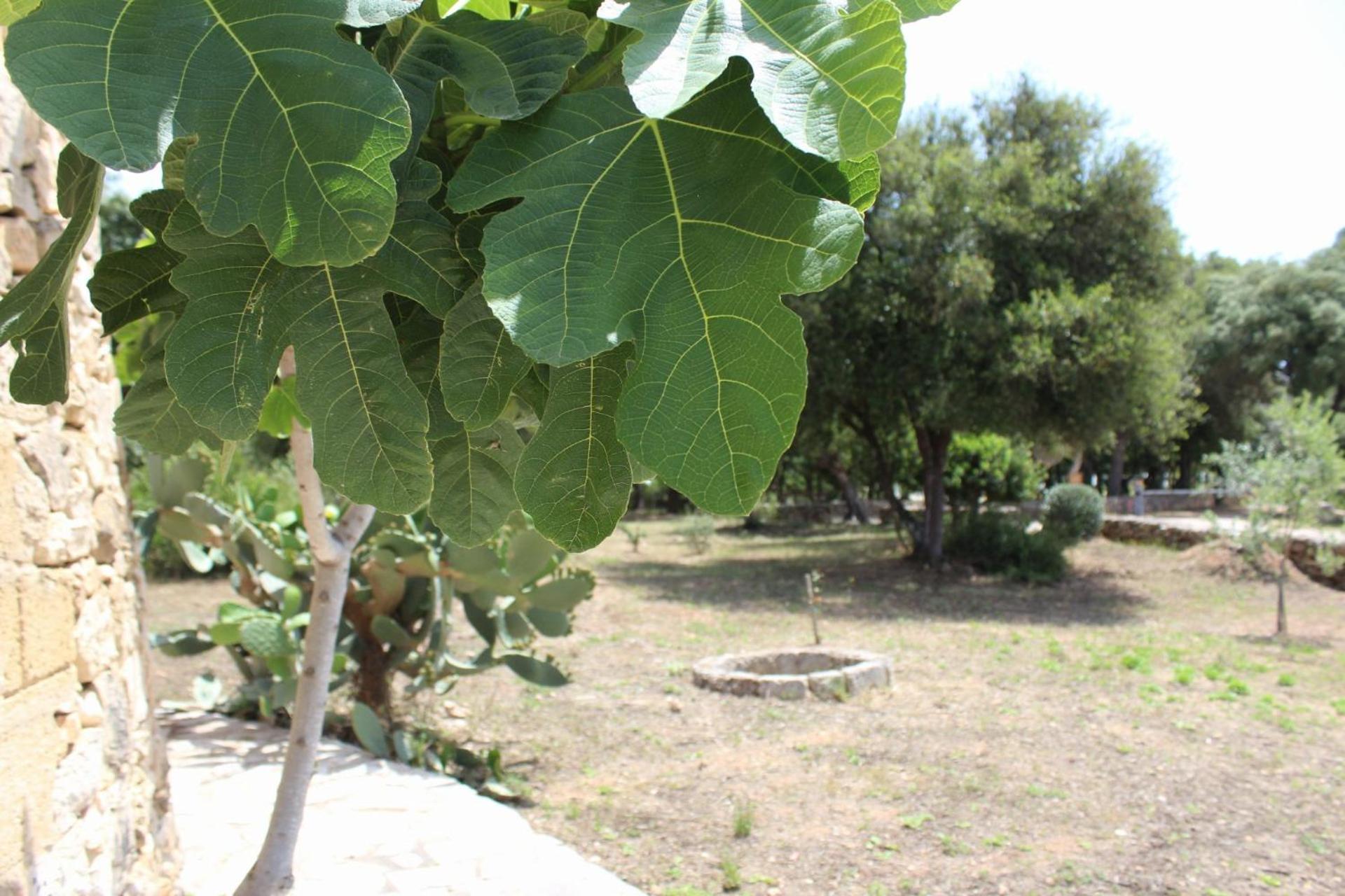 Tenuta Ferraro גאליפולי מראה חיצוני תמונה
