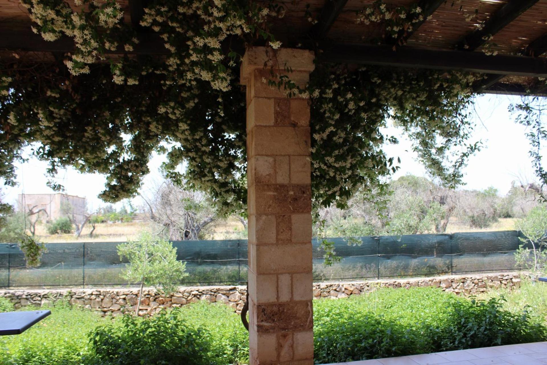 Tenuta Ferraro גאליפולי מראה חיצוני תמונה